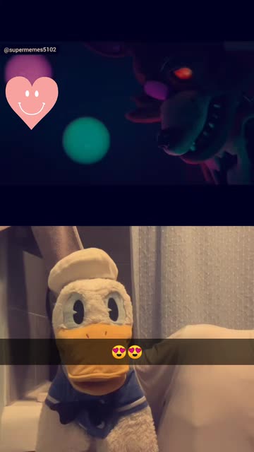 DonaldDucc
