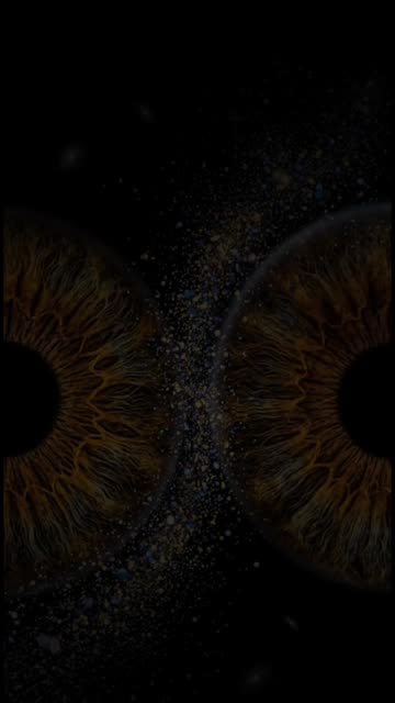𓆩🖤⃤𓆪𝓈𝒽♡
