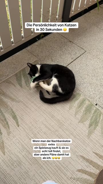 ich.tina