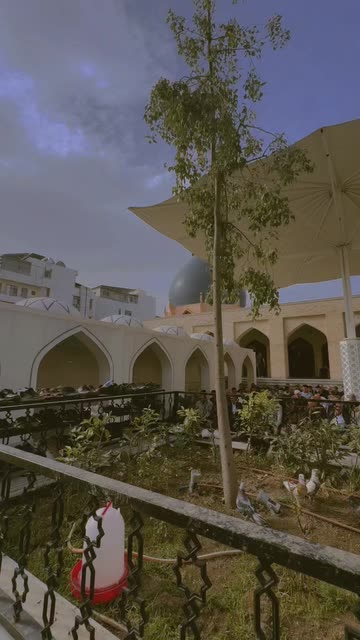 shnahijab