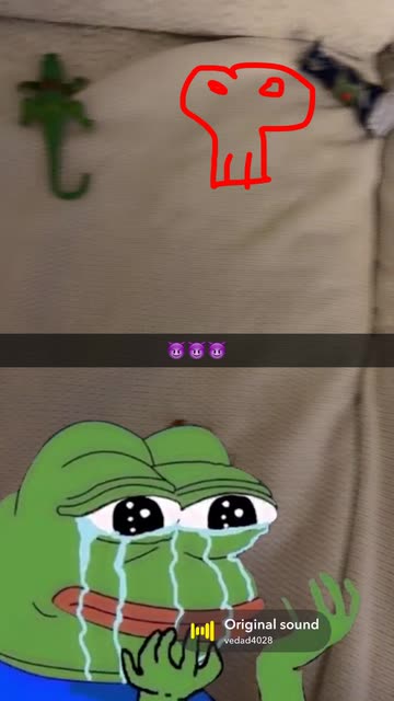 Frog Reaction Meme Videos