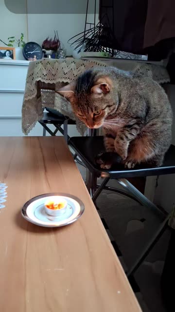 hoffnung